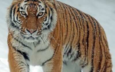 You Must Use Your Creative Power