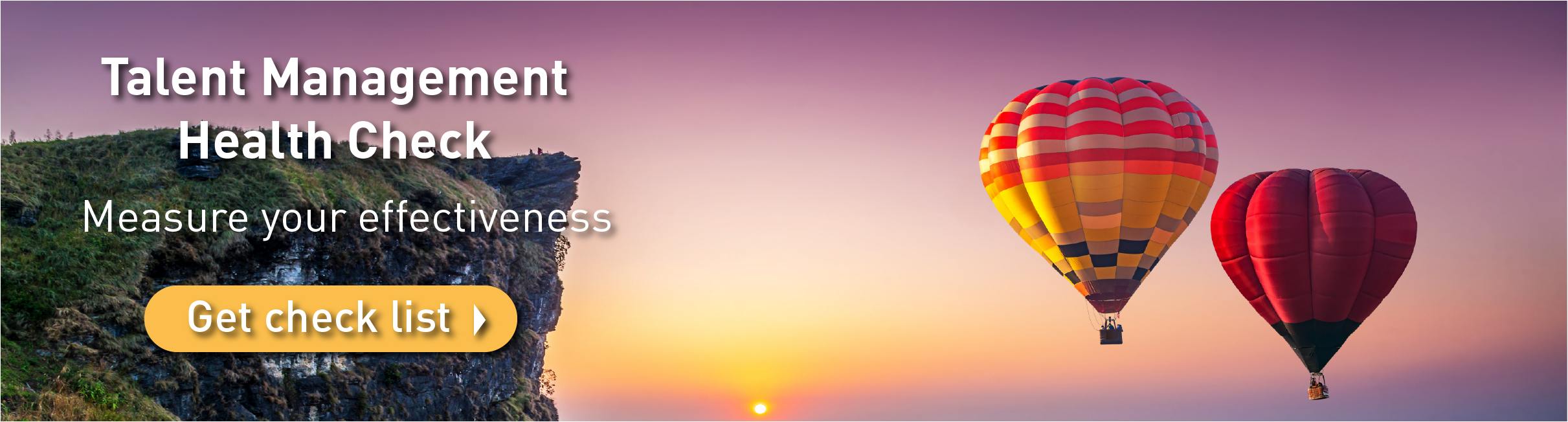 An assessment organisation that will review your talent management and selection process and suggest improvments