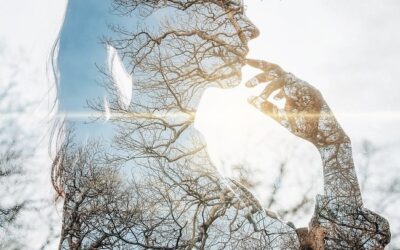 Attracting What You Want