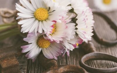 Feeling Gratitude Meaning